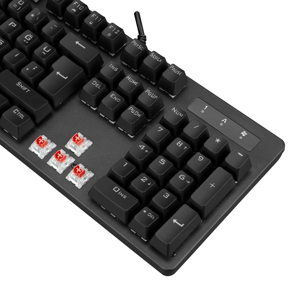Everest KB-GX7 BLUESKY 21 Işık Efektli RED SWITCH Bilek Destekli Mekanik Ga