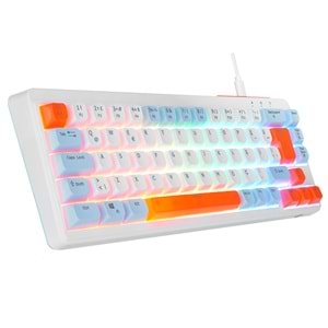 Acer eMachines EAK810 Bej/Mavi/Turuncu USB Rainbow Aydınlatmalı Mini Q Standart Klavye