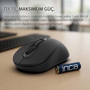 Inca Iwm-288T Bluetooth Sessiz Mouse