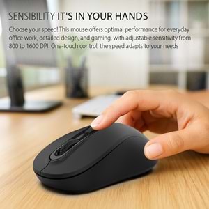 Inca Iwm-288T Bluetooth Sessiz Mouse