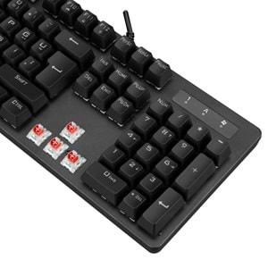 Everest KB-GX7 BLUESKY 21 Işık Efektli RED SWITCH Bilek Destekli Mekanik Ga