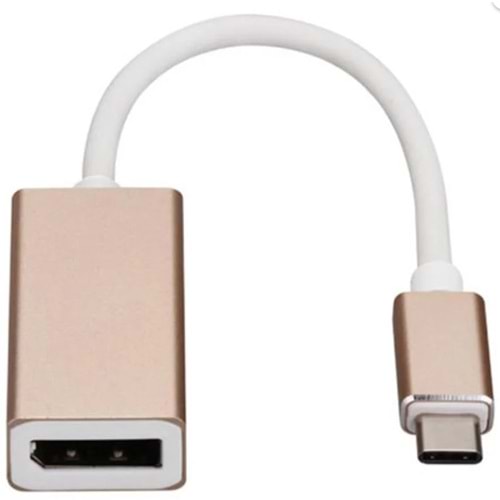 Sline Type-C Display Port Çevirici