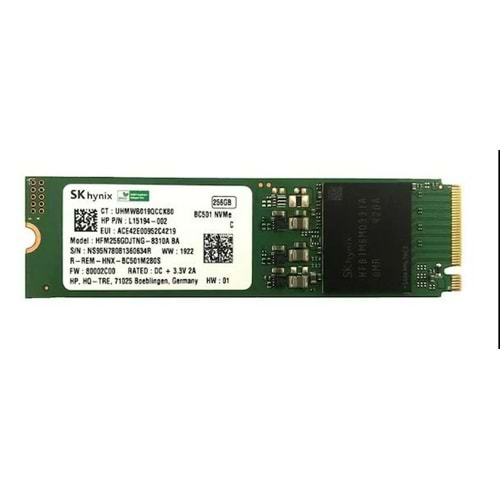 SK Hynix HFM256GDJTNG-8310A 256 GB M.2 SSD