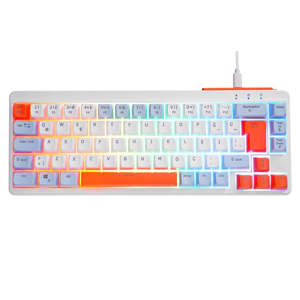 Acer eMachines EAK810 Bej/Mavi/Turuncu USB Rainbow Aydınlatmalı Mini Q Standart Klavye