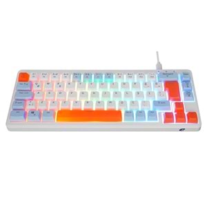 Acer eMachines EAK810 Bej/Mavi/Turuncu USB Rainbow Aydınlatmalı Mini Q Standart Klavye