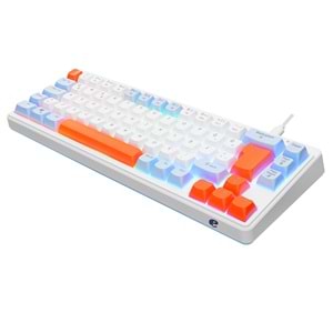 Acer eMachines EAK810 Bej/Mavi/Turuncu USB Rainbow Aydınlatmalı Mini Q Standart Klavye