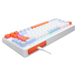 Acer eMachines EAK810 Bej/Mavi/Turuncu USB Rainbow Aydınlatmalı Mini Q Standart Klavye